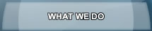 What We Do